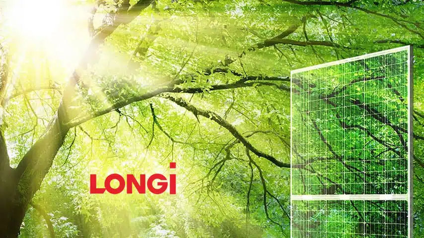 Longi Solar Panels Review