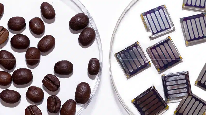 Perovskite Solar Cells Doped Up On Caffeine