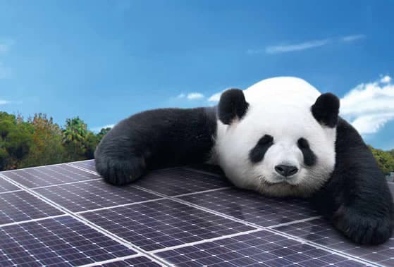 Yingli Solar Panda